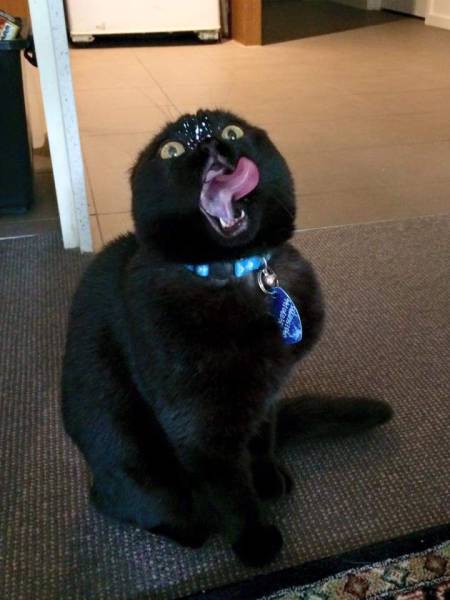 Daily Pictures. Part 2 (66 pics)