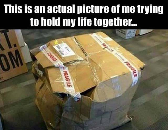 Daily Pictures. Part 2 (66 pics)