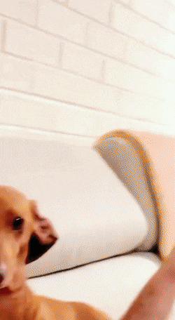 Acid GIFs, April 7 (25 gifs)