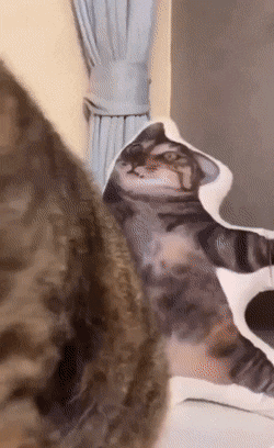 Acid GIFs, April 7 (25 gifs)