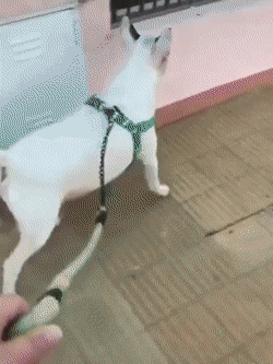 Acid GIFs, April 7 (25 gifs)