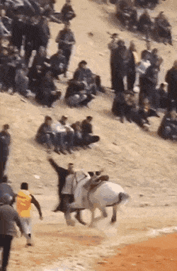 Acid GIFs, April 7 (25 gifs)