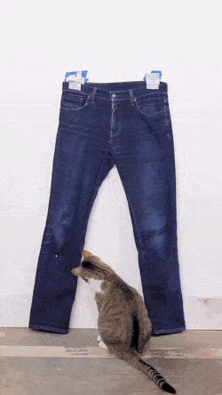 Acid GIFs, April 7 (25 gifs)