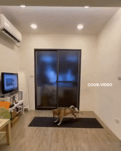 Acid GIFs, April 7 (25 gifs)