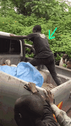 Acid GIFs, April 7 (25 gifs)