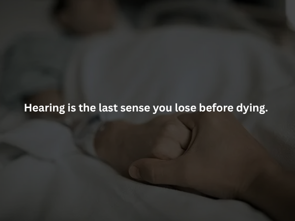 Creepy Facts (14 pics)