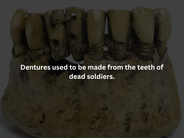 Creepy Facts (14 pics)
