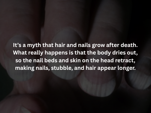 Creepy Facts (14 pics)