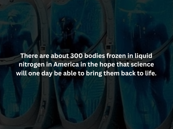 Creepy Facts (14 pics)