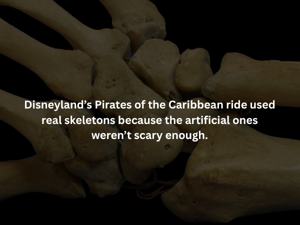 Creepy Facts (14 pics)