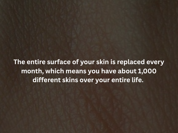 Creepy Facts (14 pics)
