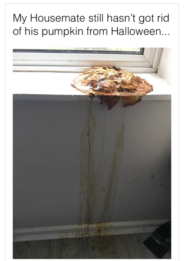 Annoying Situations (27 pics)