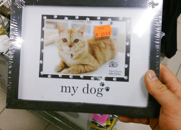 Failed Packaging (21 pics)