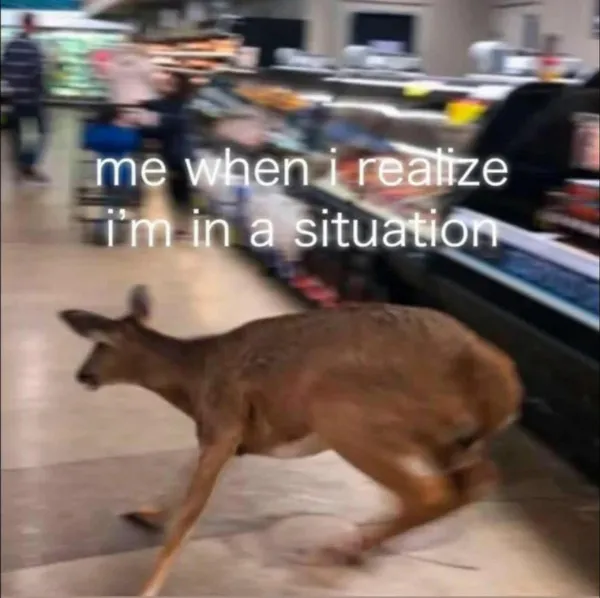 Funny Memes (23 pics)
