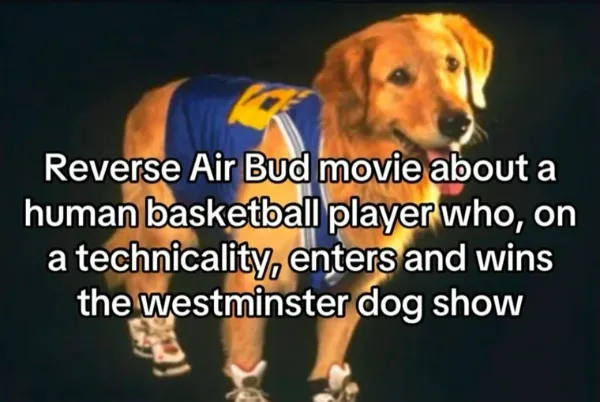Funny Memes (23 pics)