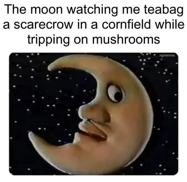 Funny Memes (23 pics)