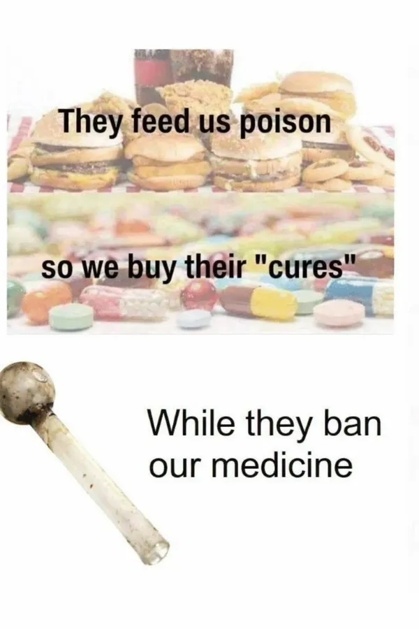 Funny Memes (23 pics)