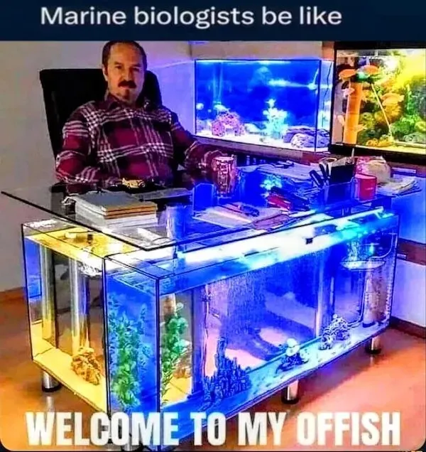 Random Memes (25 pics)