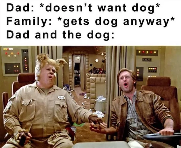 Random Memes (25 pics)