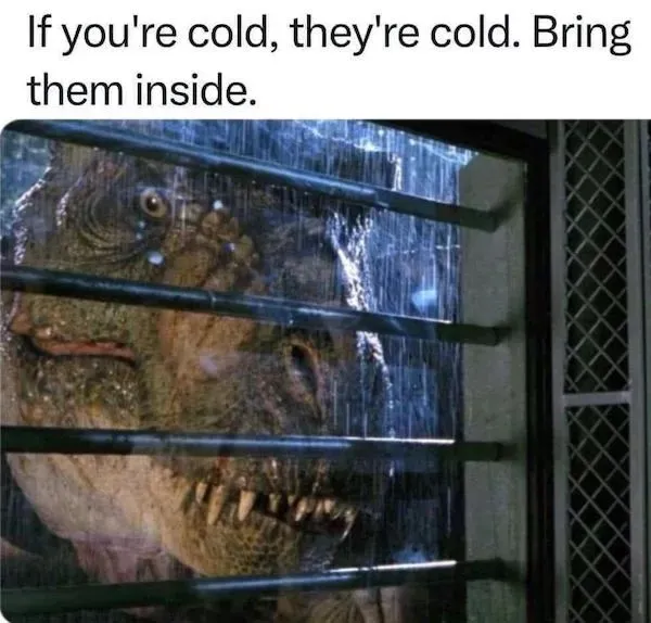 Random Memes (25 pics)