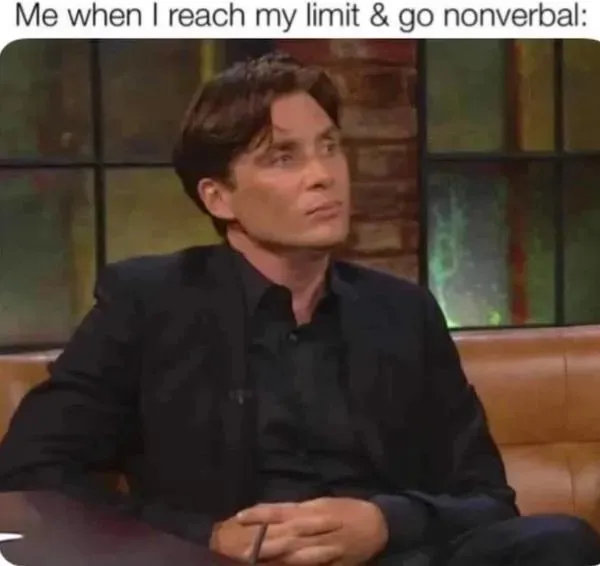 Random Memes (25 pics)