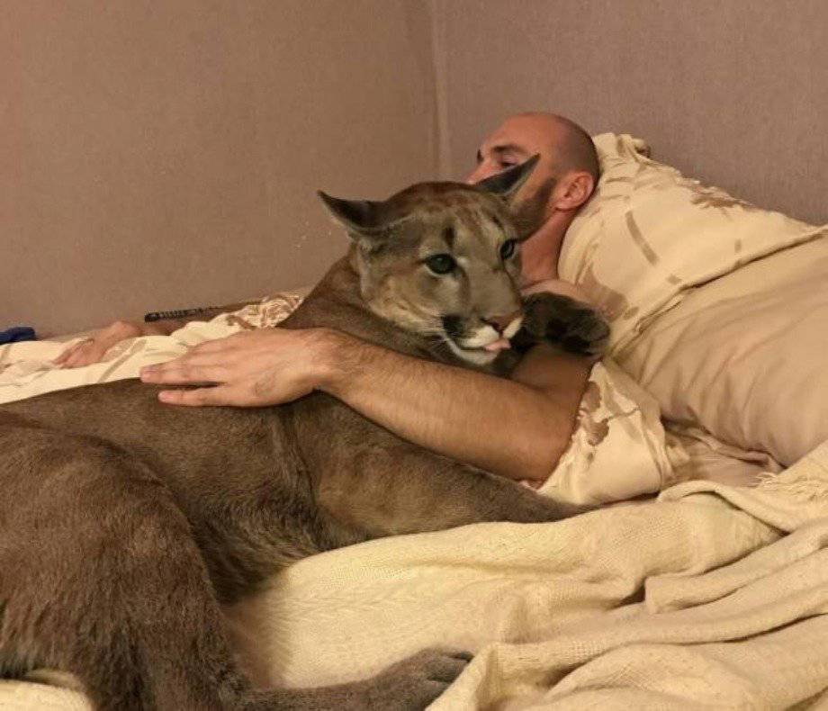 Daily Pictures. Part 1 (68 pics)