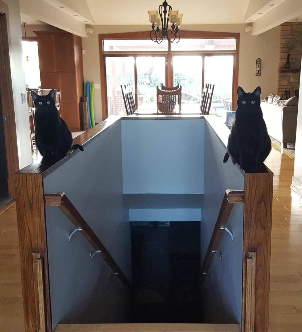 Daily Pictures. Part 1 (68 pics)