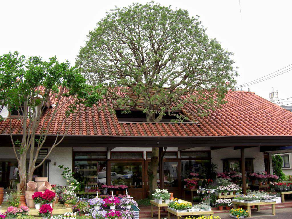 Daily Pictures. Part 1 (68 pics)