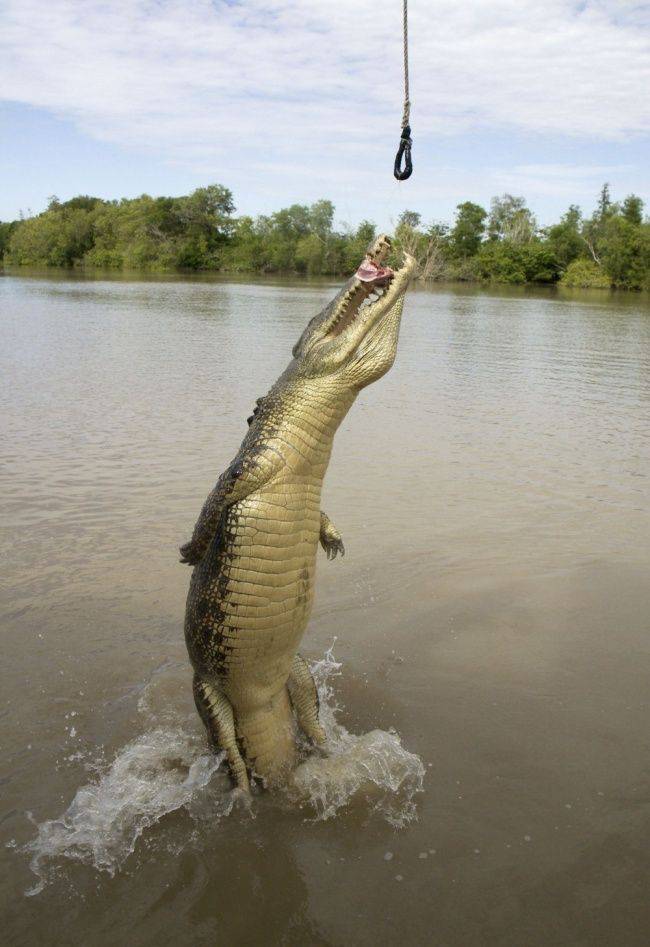 Daily Pictures. Part 1 (68 pics)