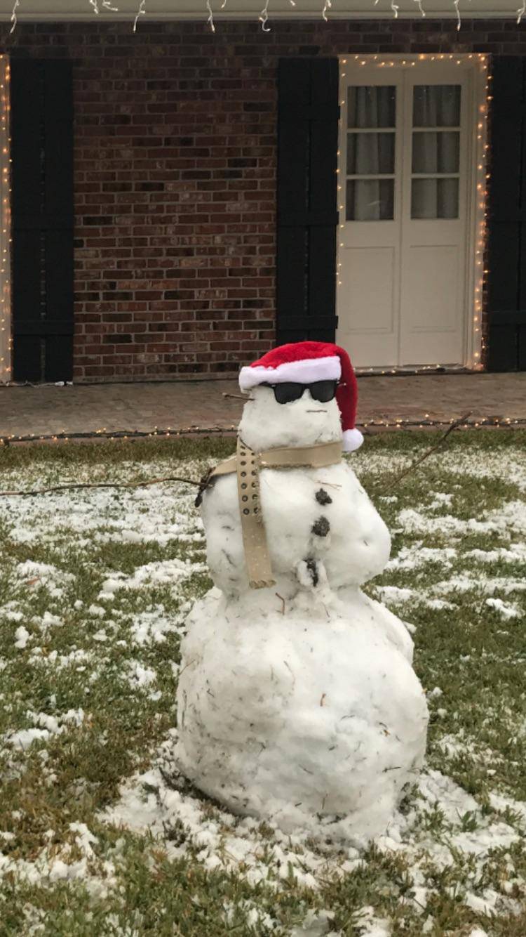 Daily Pictures. Part 1 (68 pics)