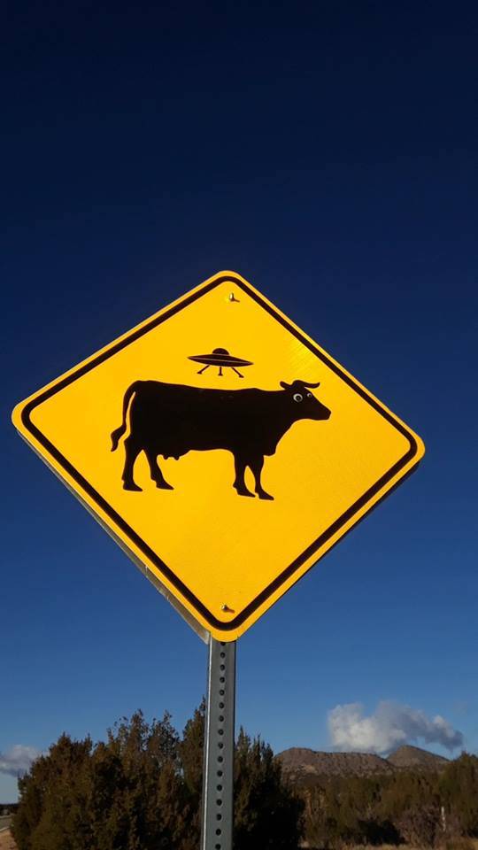 Daily Pictures. Part 1 (68 pics)