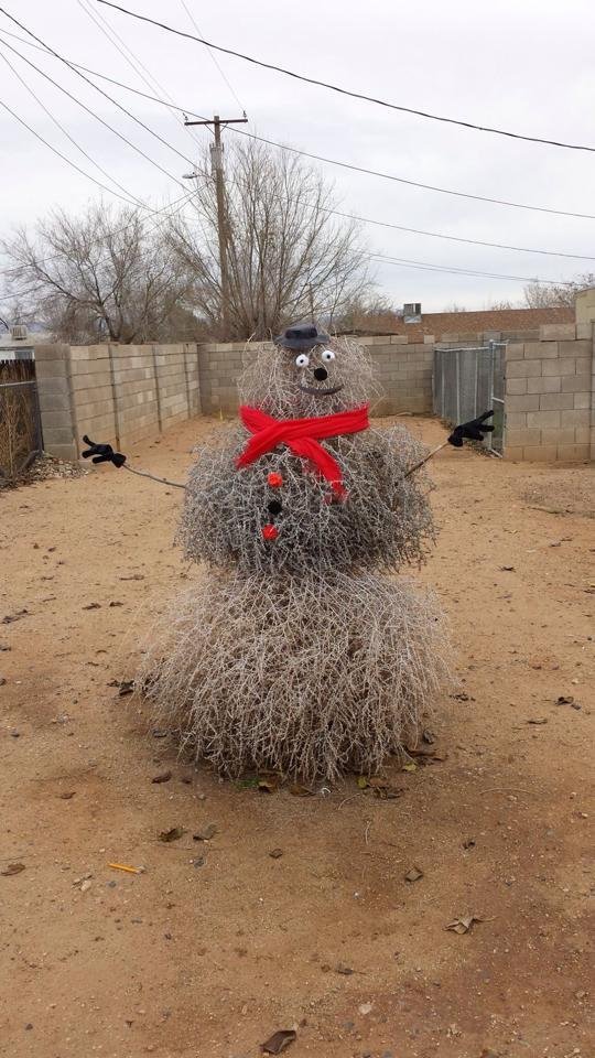 Daily Pictures. Part 1 (68 pics)