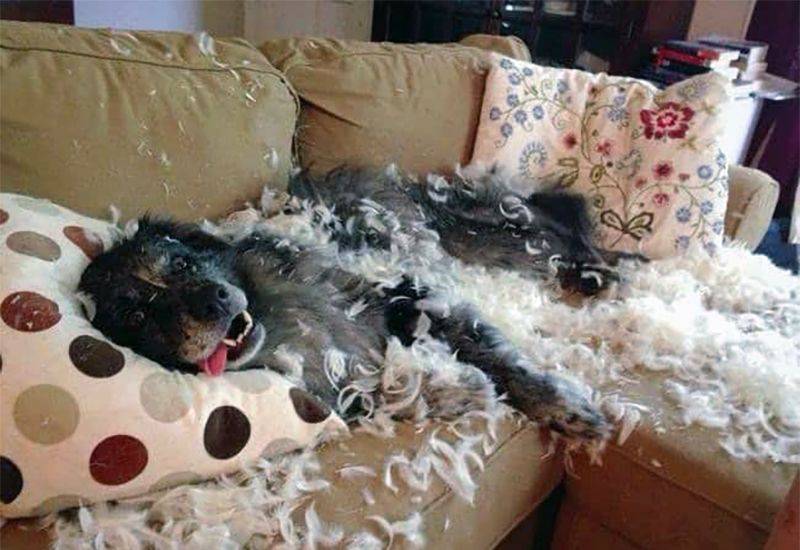 Daily Pictures. Part 1 (68 pics)