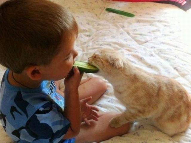 Daily Pictures. Part 1 (68 pics)