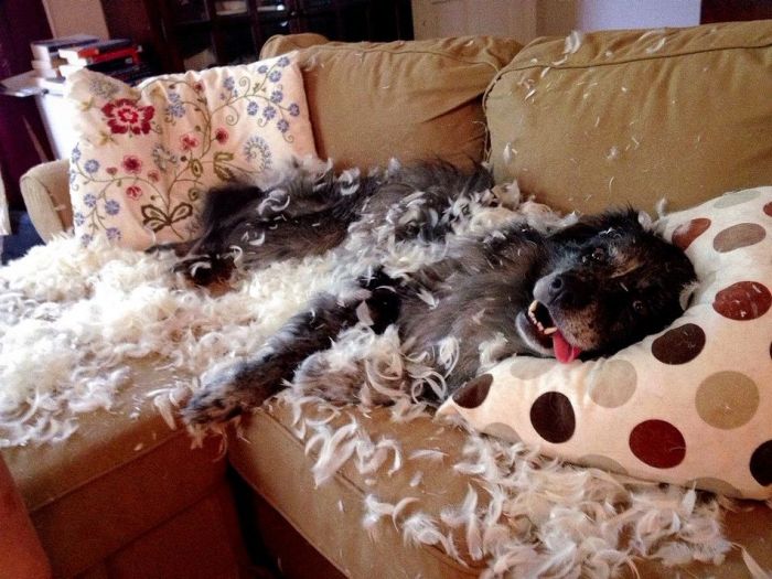 Daily Pictures. Part 1 (68 pics)