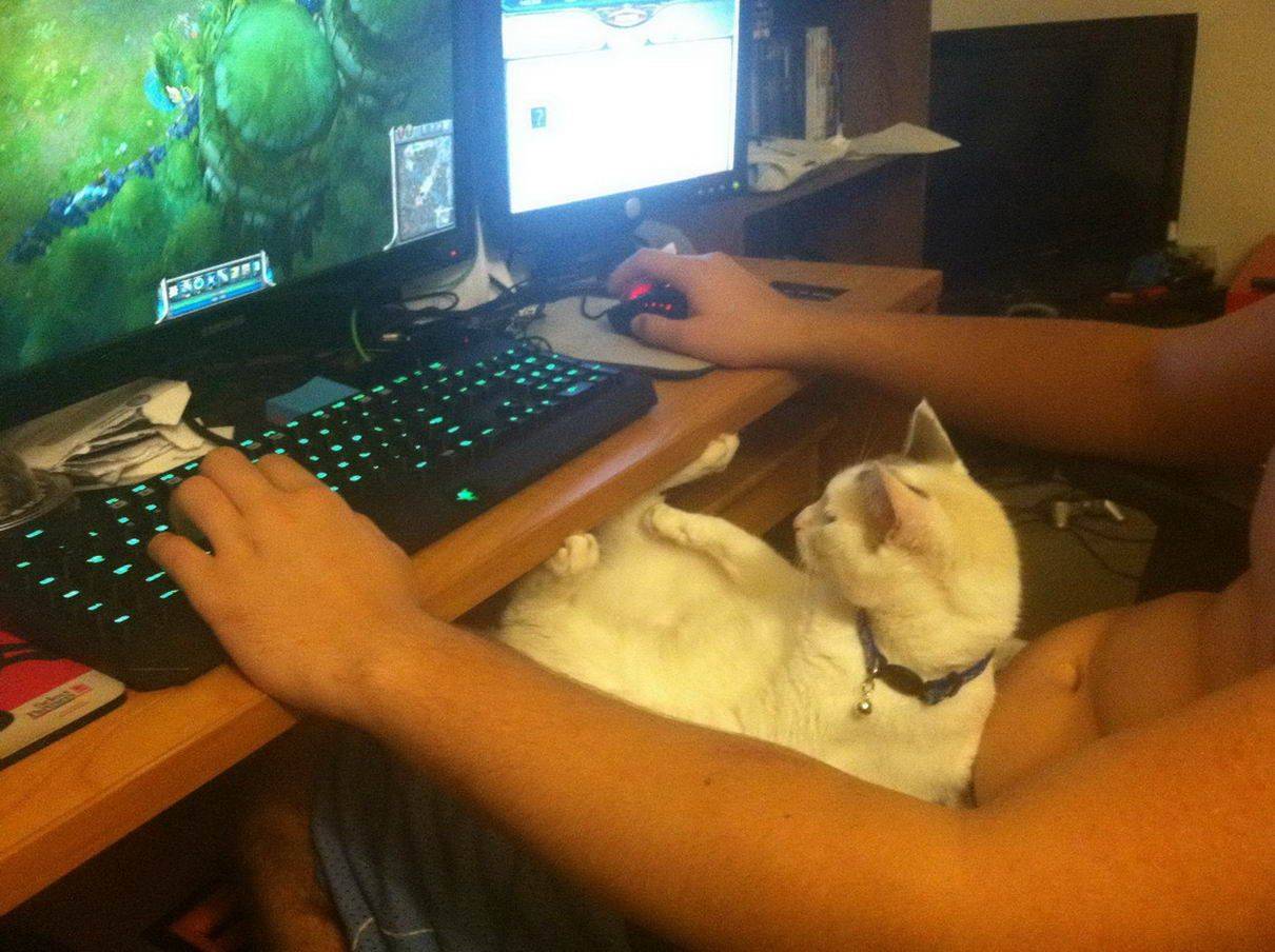 Daily Pictures. Part 1 (68 pics)