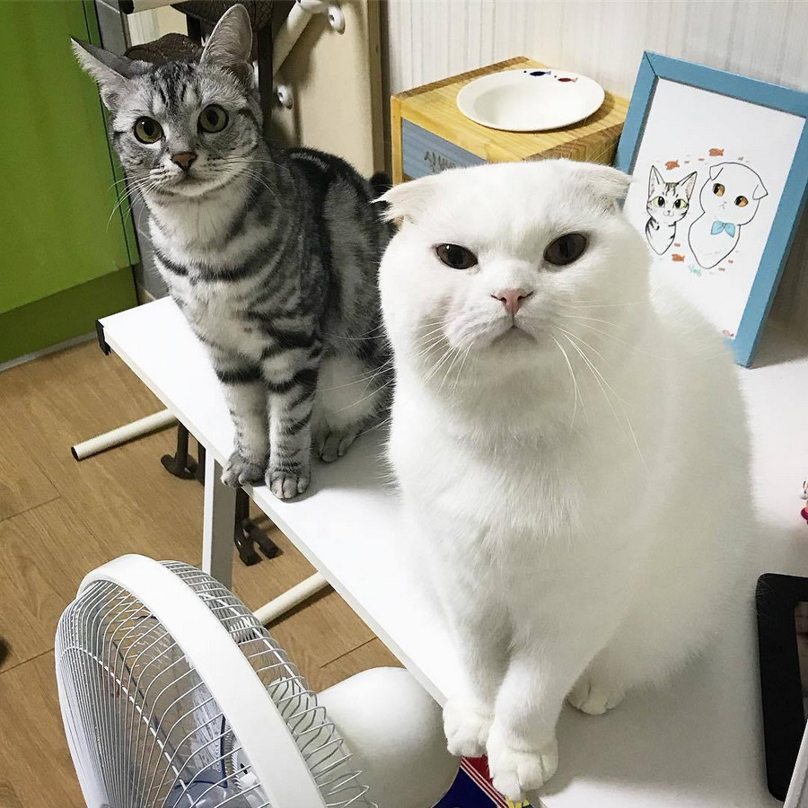 Daily Pictures. Part 1 (68 pics)