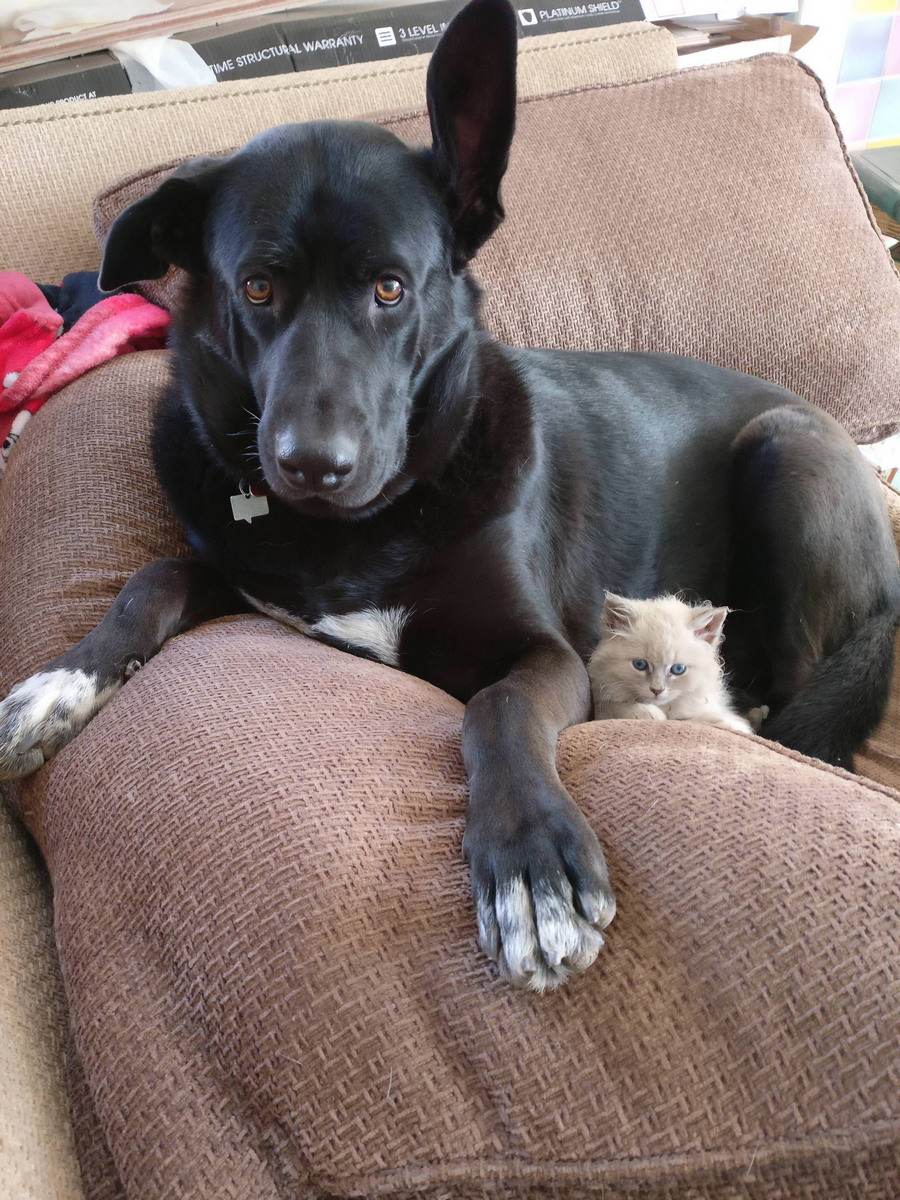 Daily Pictures. Part 1 (68 pics)