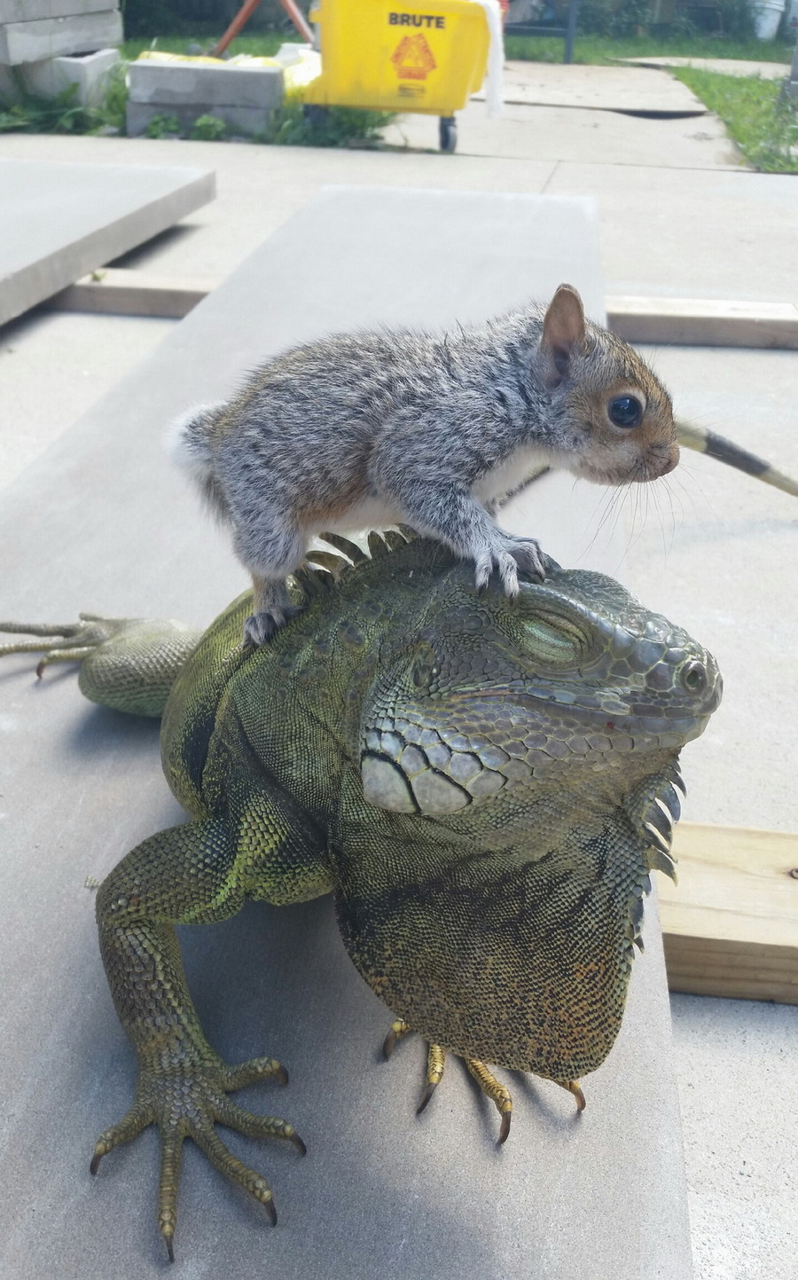 Daily Pictures. Part 1 (68 pics)