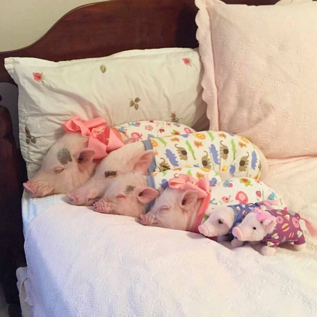 Daily Pictures. Part 1 (68 pics)