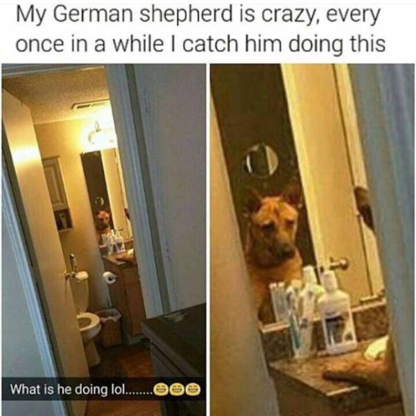 Daily Pictures. Part 2 (67 pics)