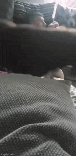 Acid GIFs, April 8 (25 gifs)