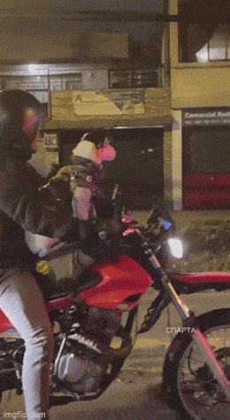 Acid GIFs, April 8 (25 gifs)