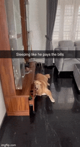 Acid GIFs, April 8 (25 gifs)