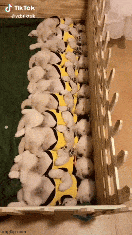 Acid GIFs, April 8 (25 gifs)