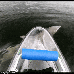 Acid GIFs, April 8 (25 gifs)