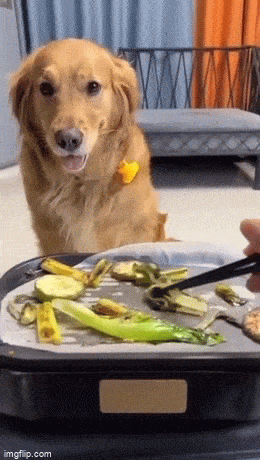 Acid GIFs, April 8 (25 gifs)