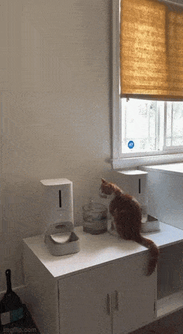 Acid GIFs, April 8 (25 gifs)