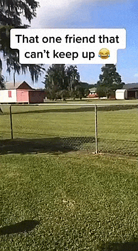 Acid GIFs, April 8 (25 gifs)