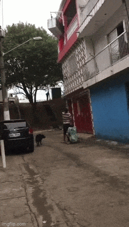 Acid GIFs, April 8 (25 gifs)